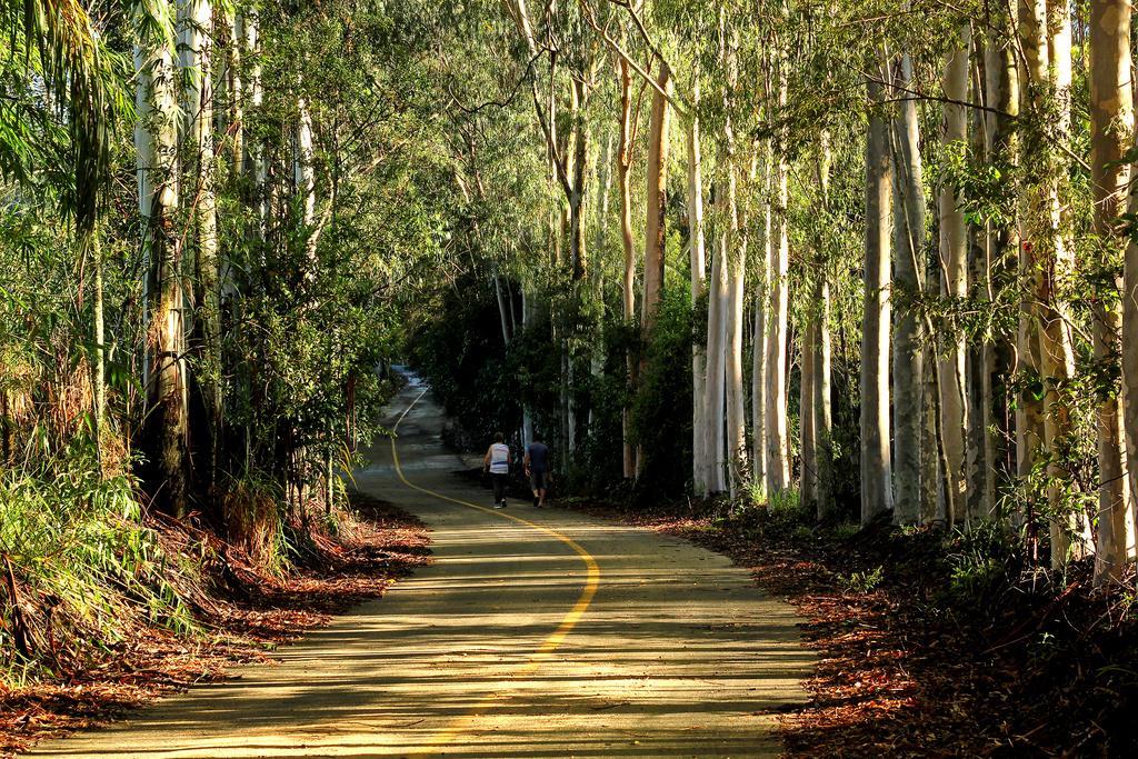 Pousada Sitio Do Sossego Monte Alegre do Sul Bagian luar foto